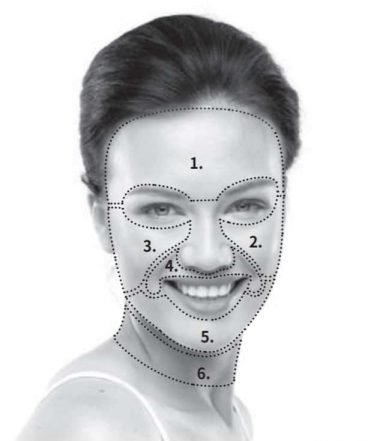 Face & neck zone diagram from the Silk'n Factite user guide