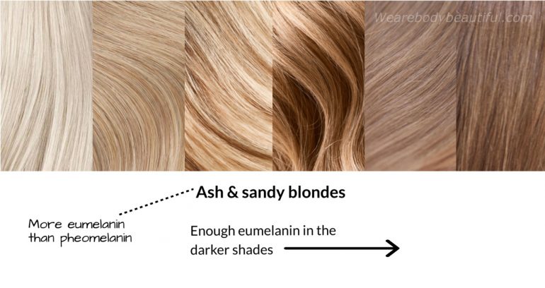 Shades of ash / sandy blond hair; from very light blond, light ash, mid blondes to dark ash blonde shades. They have more eumelanin than yellow pheomelanin. The darker shades have enough, and some lighter shades may have enough eumelanin for the IPL hair removal to work.