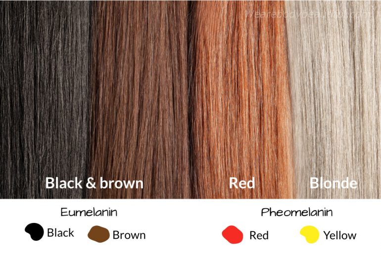 Black & brown strands of hair have black and brown eumelanin pigment, red hair has red pheomelanin, and blond hair has yellow pheomelanin. Most at-home devices need black and brown eumelanin to work, but some will work on fair hair. Find out the best home laser hair removal for blonde hair, red and grey too in Wearebodybeautiful’s guide.