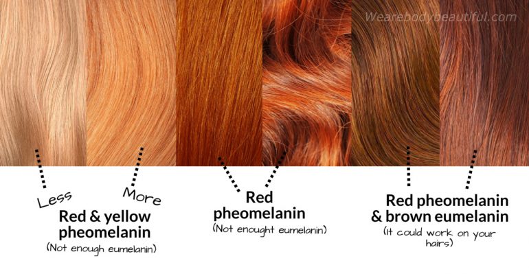 Red hair samples from left to right: strawberry blond hair has both yellow and red pheomelanin with just a teeny bit of eumelanin. Red hair has mostly red pheomelanin and just a teeny bit of eumelanin. Auburn hair has both eumelanin and red pheomelanin. There's more red pheomelanin than eumelanin, but there may be enough in the hair for IPL to work.
