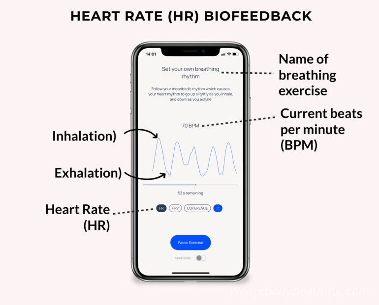 This is the breathing exercise progress screen in the app. You can see the breathing exercise name at the top, and the time remaining just below the moving graph. HR biofeedback tracks your heart rate. It shows your current heart rate at the top, and a graph of how it goes up and down based on your breath. Your BPM goes up when you inhale, and down when you exhale.